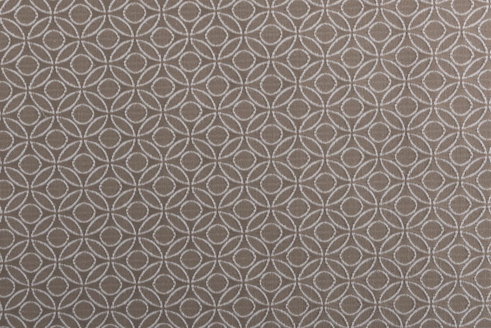 C&SARI DESIGNPREMIUM66821/BEIGE