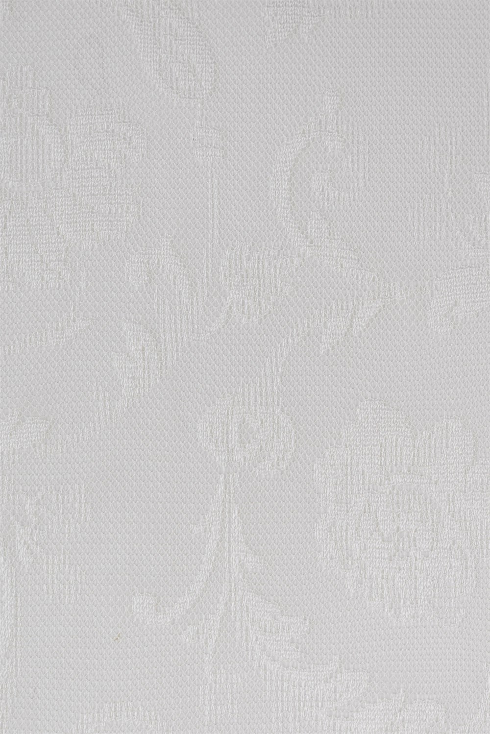 C&SARI DESIGNTULIP30973/20232