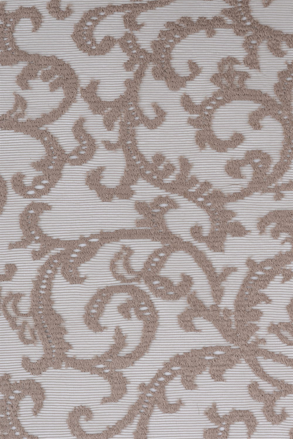 C&SARI DESIGNDANTEL80043/42959