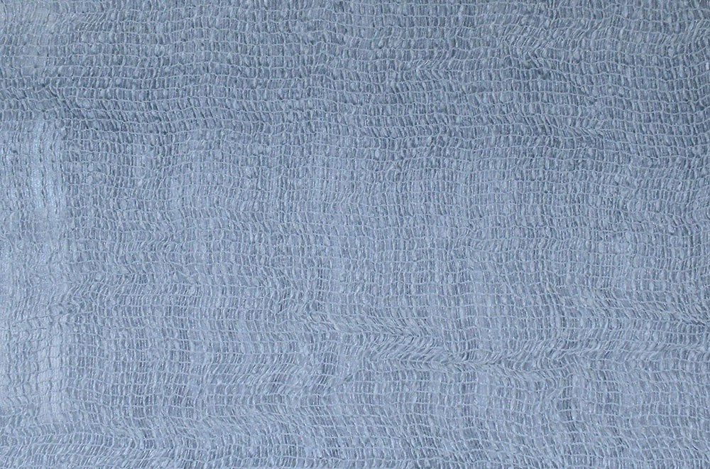 C&SARI DESIGNKIWI20960/01