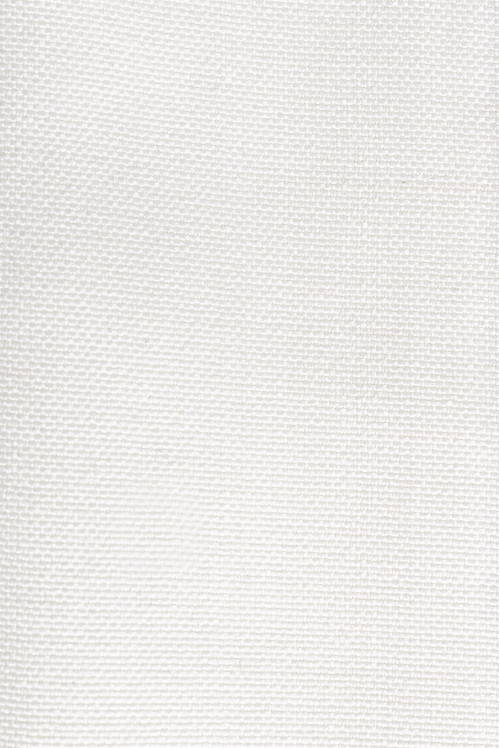 PERDELIQUEMILTON56900/10