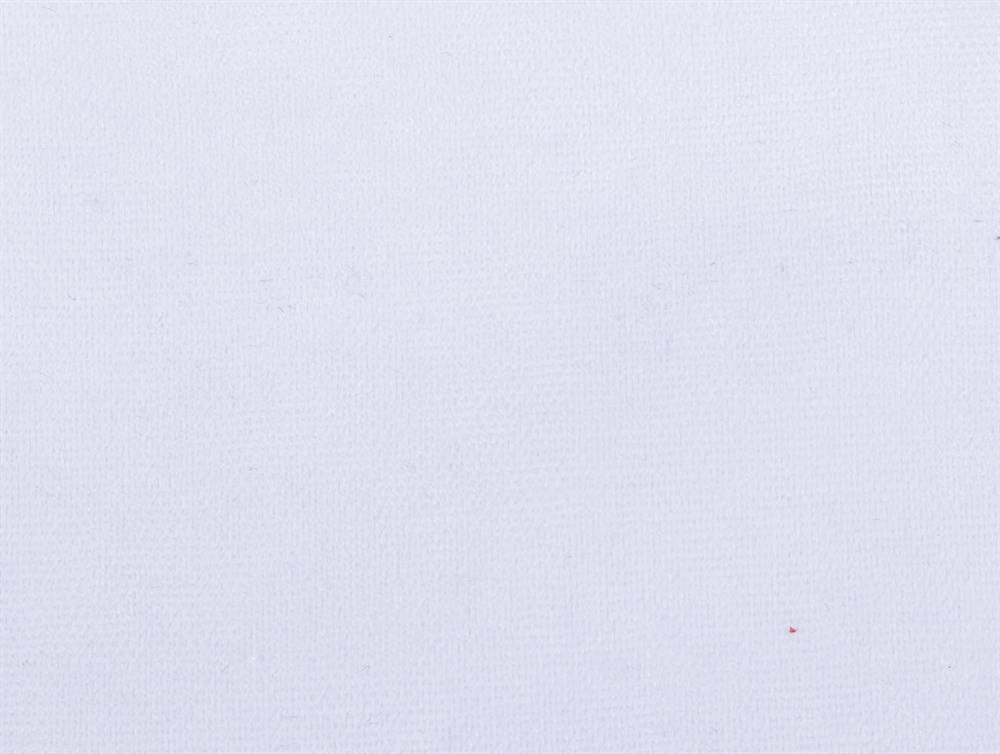 PERDELIQUEMIMOSA93957/06