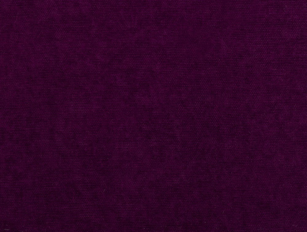 PERDELIQUEMIMOSA93957/19