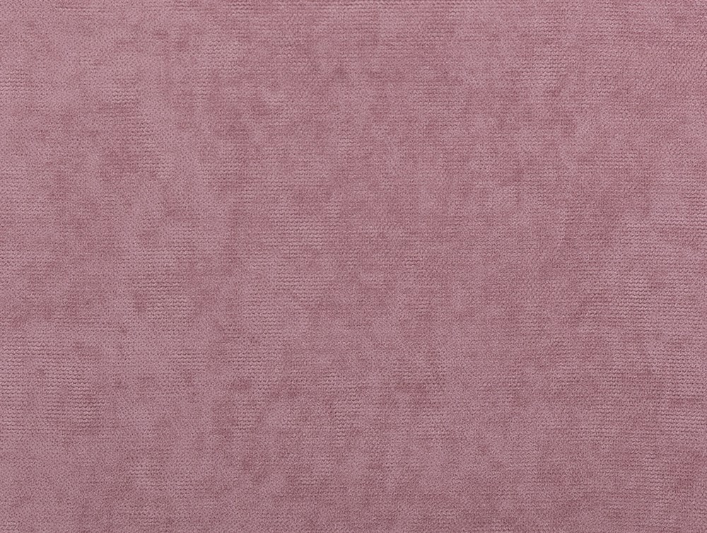 PERDELIQUEMIMOSA93957/23