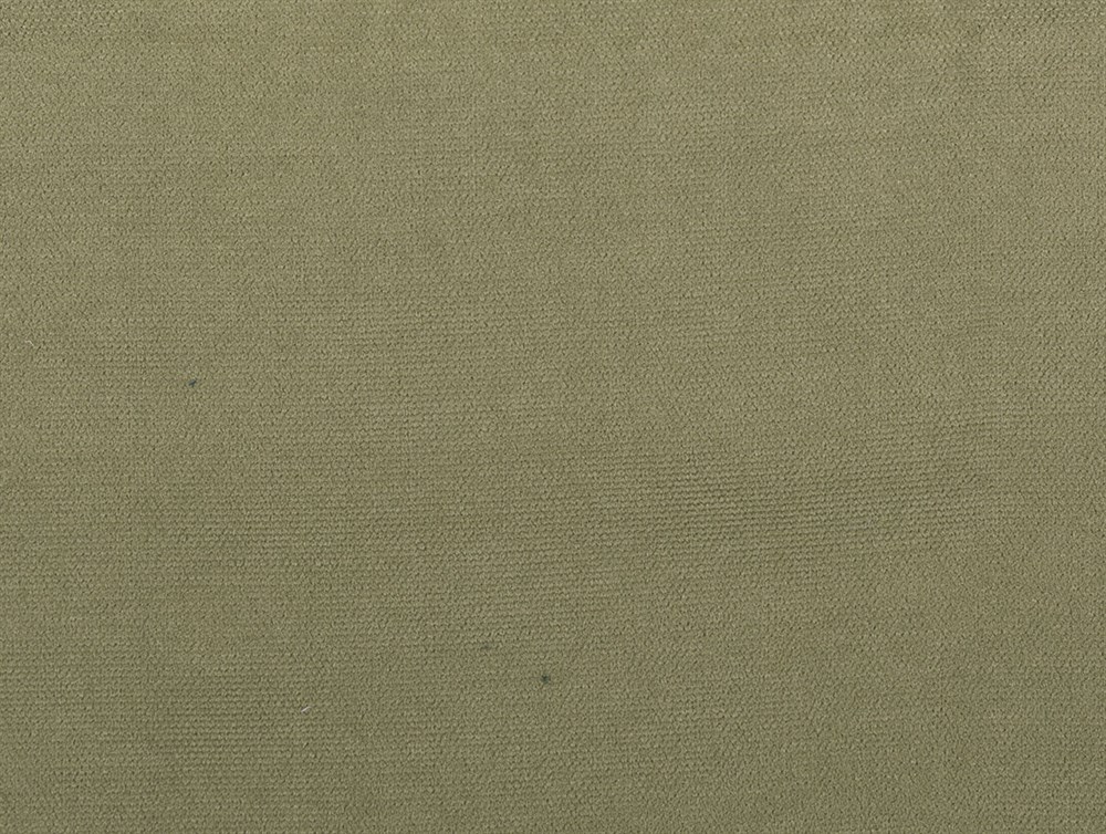 PERDELIQUEMIMOSA93957/30