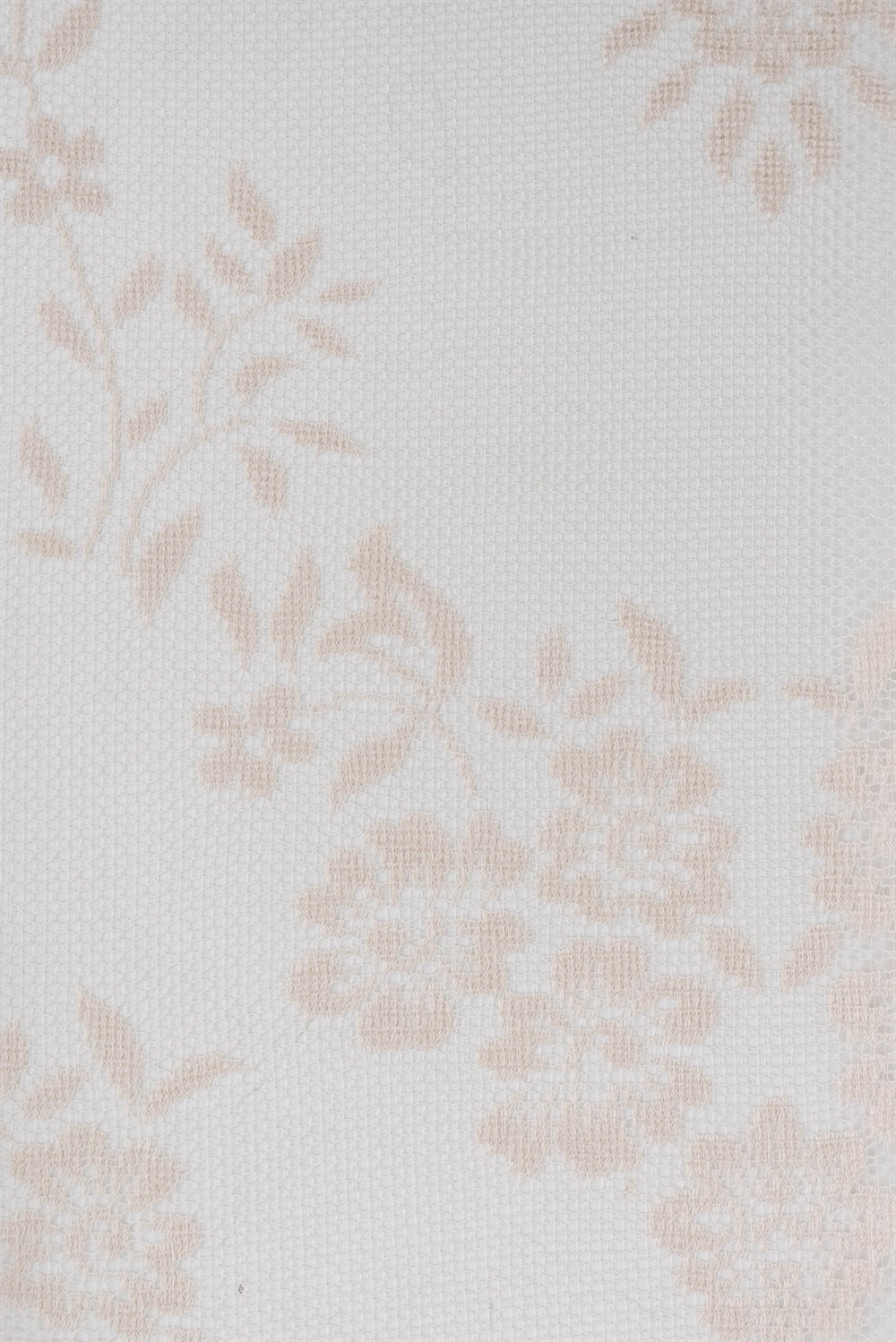 C&SARI DESIGNNAPA18133/40145