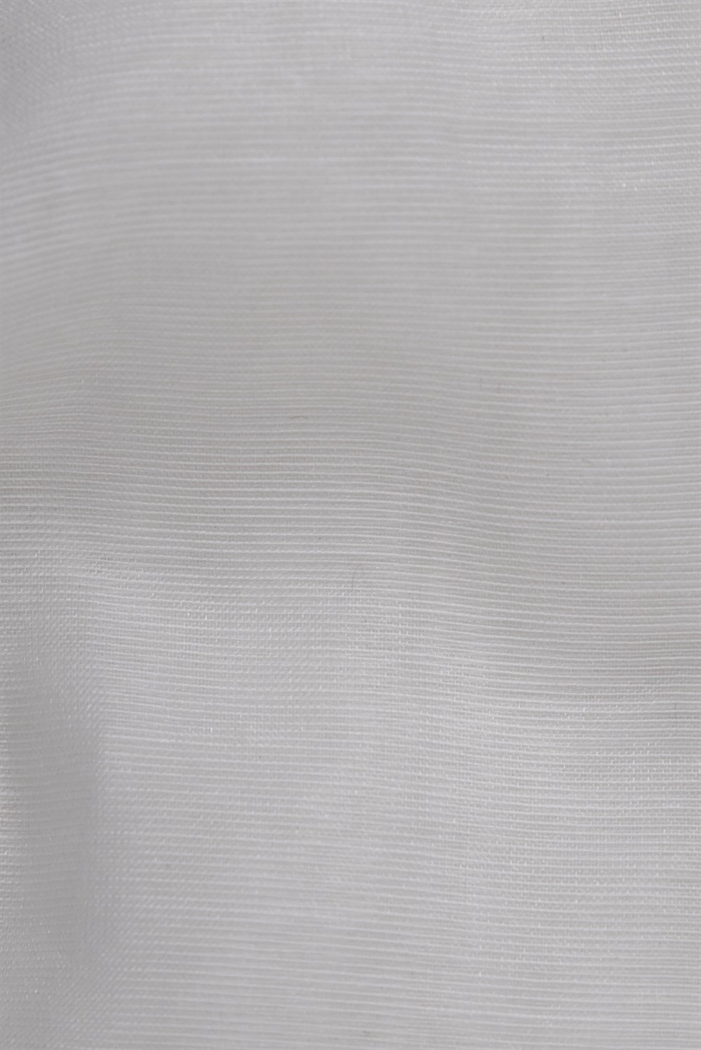 C&SARI DESIGNPARMA410/01