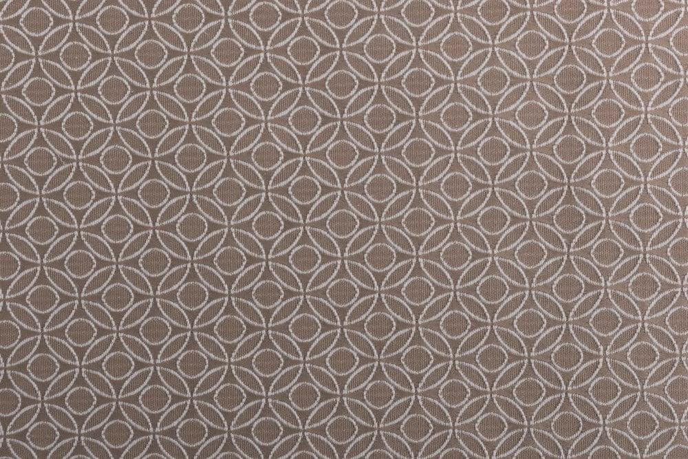 C&SARI DESIGNPREMIUM66821/BEIGE