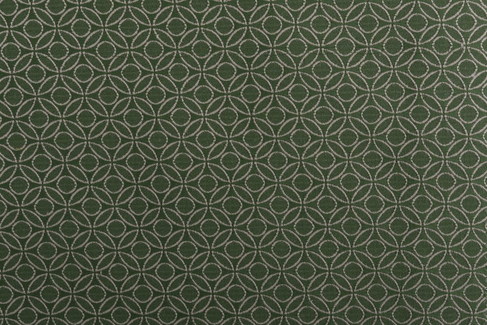 C&SARI DESIGNPREMIUM66821/GREEN