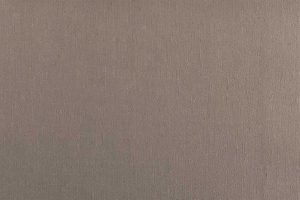 C&SARI DESIGNPREMIUM94821/BEIGE
