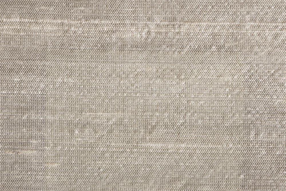 C&SARI DESIGNSAFARIAC/103