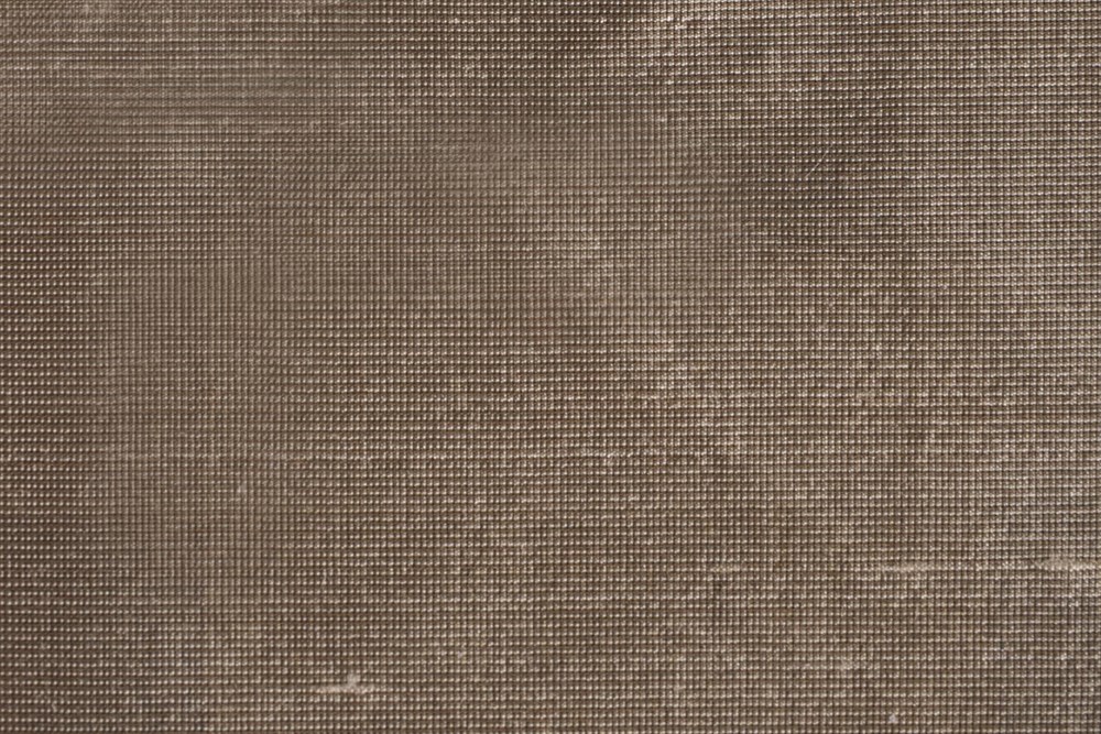 C&SARI DESIGNSILK DUPIONIATR/502