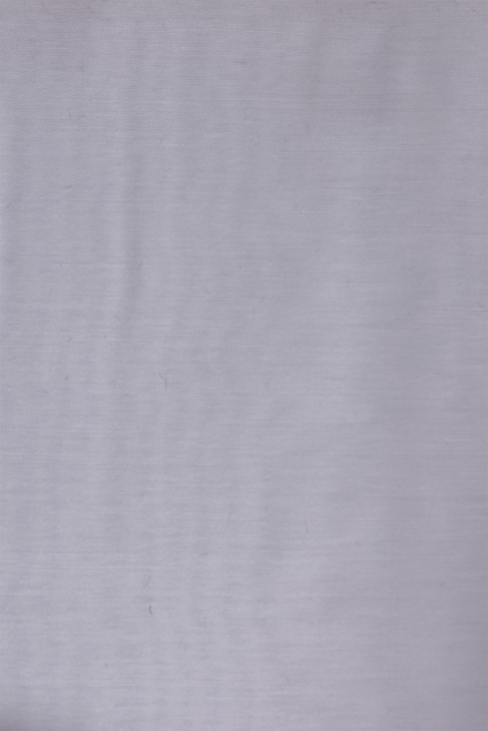 C&SARI DESIGNSORBE20177/51