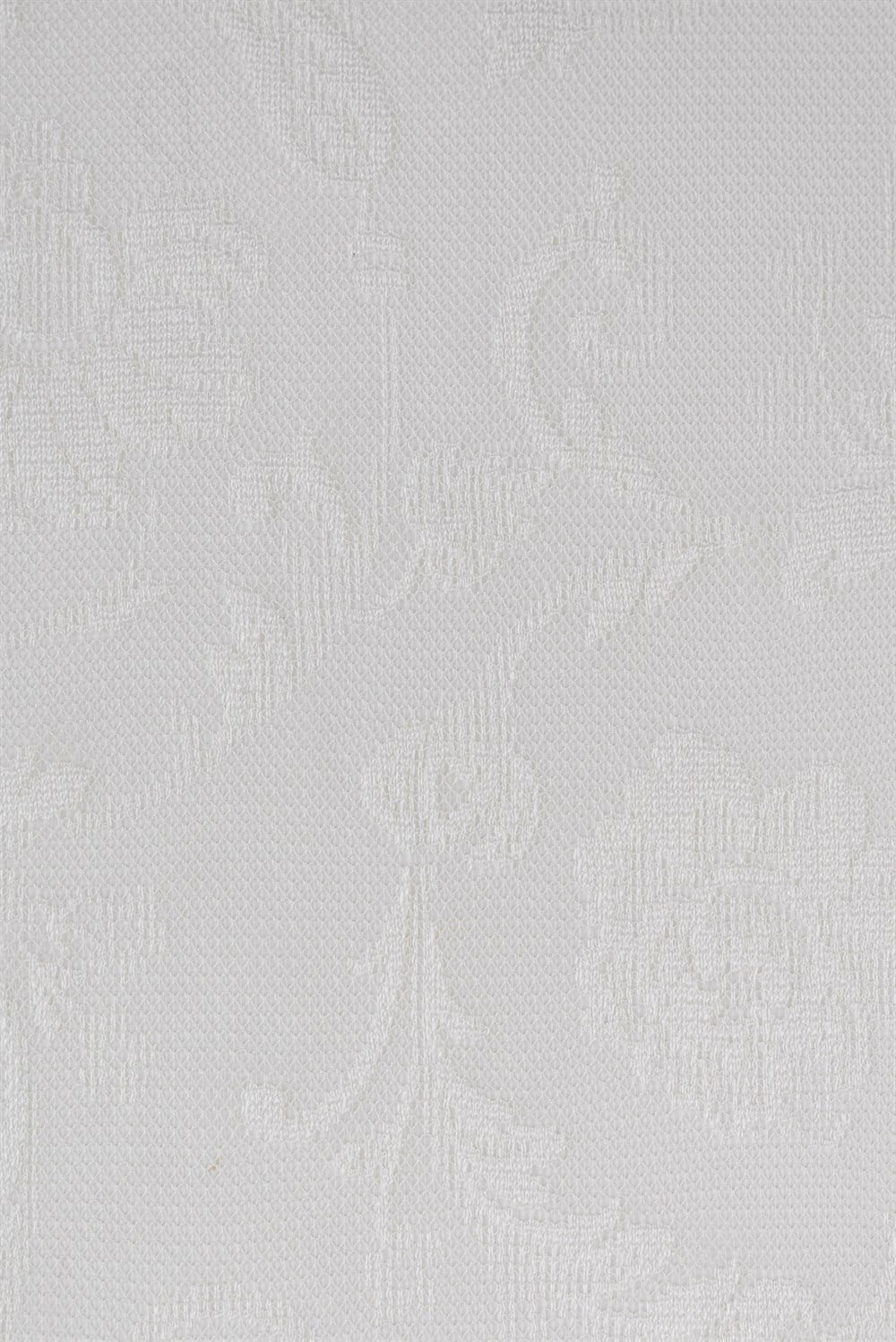 C&SARI DESIGNTULIP30973/20232