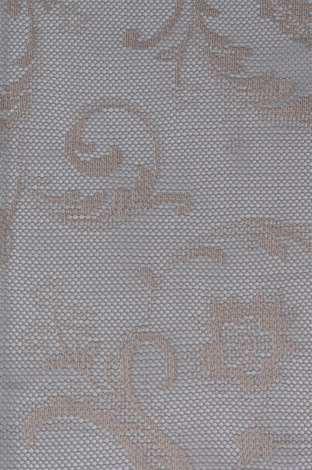 C&SARI DESIGNTULIP30973/41885