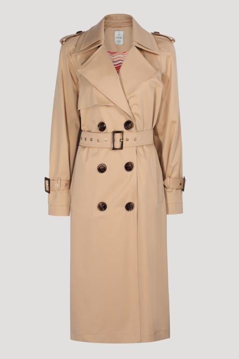 SORBE'Daily & UniformTHE DAILY TRENCH