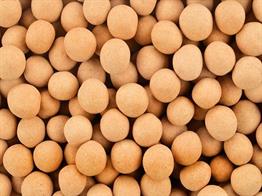 Soyalı Leblebi 500 grSoyalı Leblebi 500 gr | Uygun Fiyatlı Kuruyemiş | Kaliteli Kuruyemiş | TİAMOCOSİ |Kuruyemiş