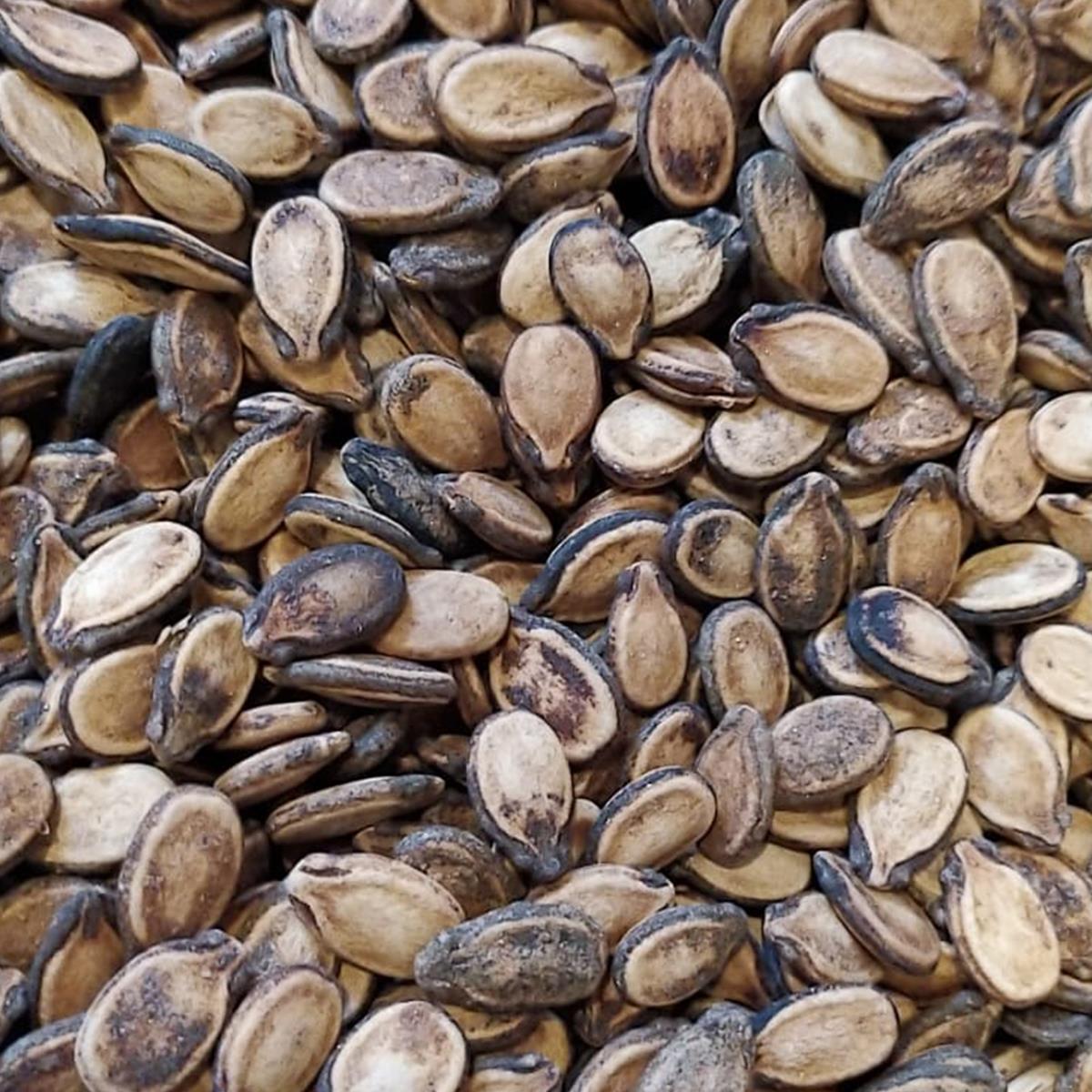 Karpuz Çekirdeği 1 KGKarpuz Çekirdeği 1 KG | Karpuz Çekirdeği Faydaları | Sipariş Ver | TİAMOCOSİ |Kuruyemiş