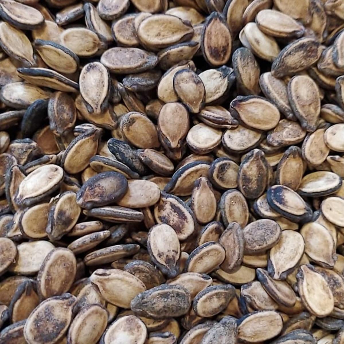 Karpuz Çekirdeği 500 grKarpuz Çekirdeği 500 gr | Karpuz Çekirdeği Faydaları | Sipariş Ver | TİAMOCOSİ |Kuruyemiş