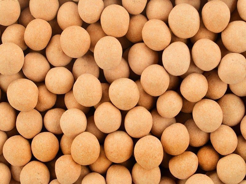 Soyalı Leblebi 500 grSoyalı Leblebi 500 gr | Uygun Fiyatlı Kuruyemiş | Kaliteli Kuruyemiş | TİAMOCOSİ |Kuruyemiş