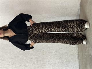 Leopar Gabardin Palazzo 