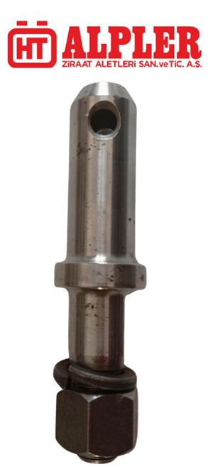 ALPLER-TİİLER PİMİ-