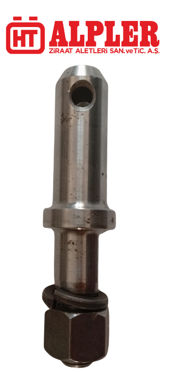 ALPLER-TİİLER PİMİ-