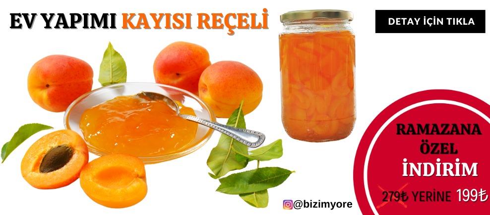 KAYISI REÇELİ