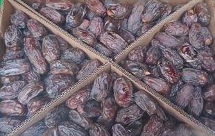 Kuru MeyveLüks Kudüs Medjoul  Hurma 5 Kg