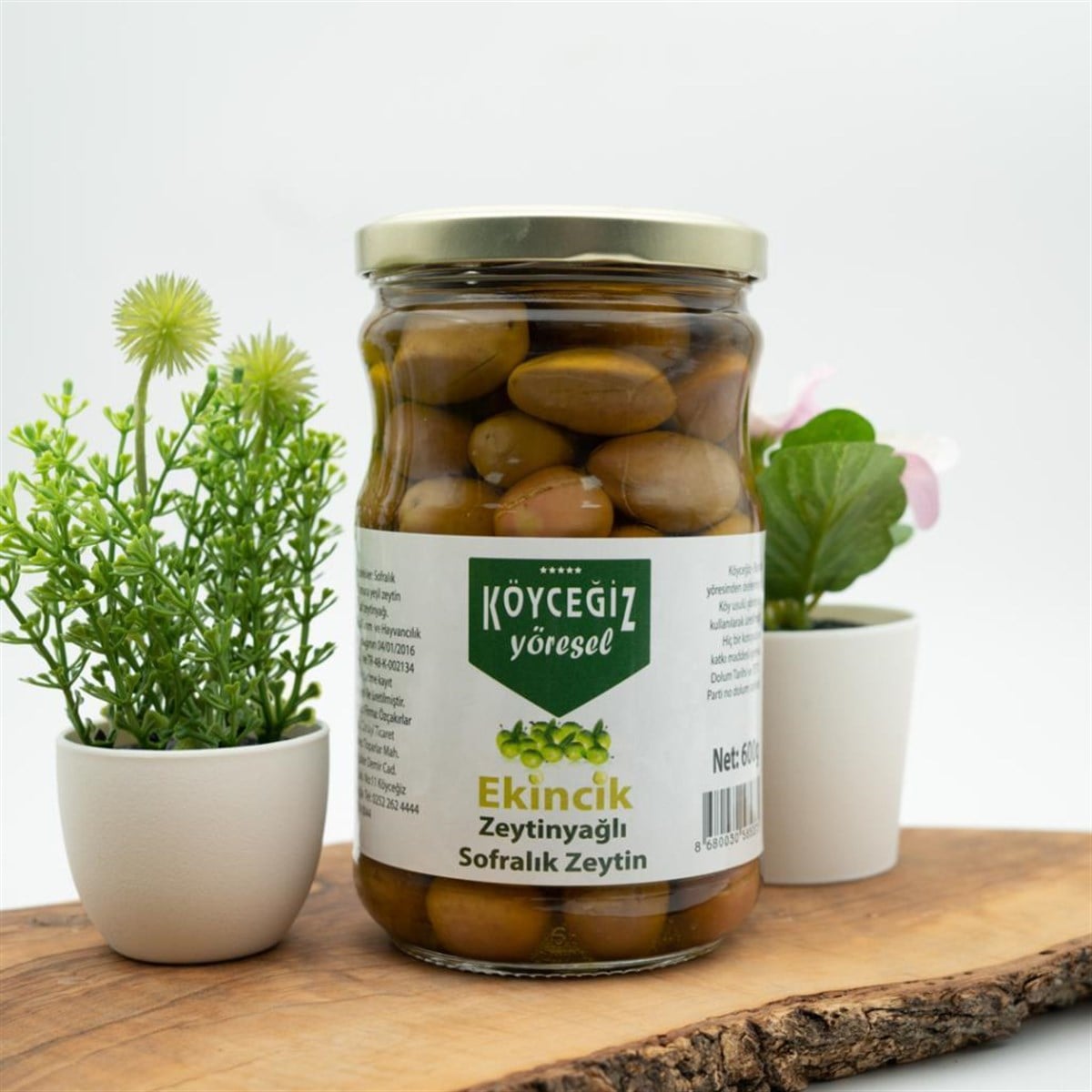 Köyceğiz Yöresel Ekincik Sofralık Zeytin 600 g Cam Kavanoz