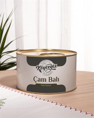 Kb Köyceğiz Yöresel Çam Balı 1850 G Teneke