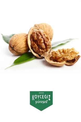 Kb Köyceğiz Yöresel Köyceğiz Cevizi 1 Kg