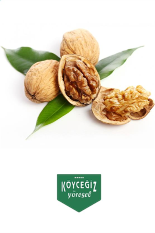 Kb Köyceğiz Yöresel Köyceğiz Cevizi 1,5 Kg