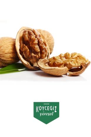 Kb Köyceğiz Yöresel Köyceğiz Cevizi 2 Kg