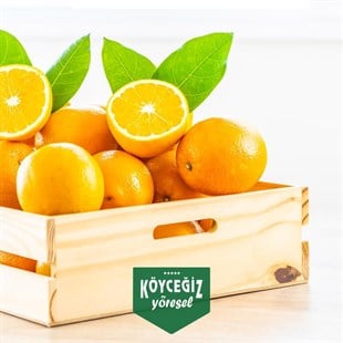 Köyceğiz Yöresel Köyceğiz Portakalı 4 KG