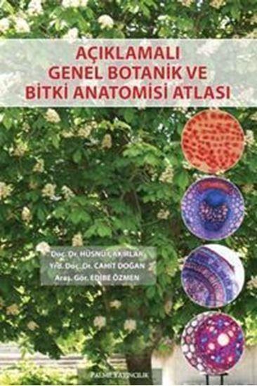 Palme Açıklamalı Genel Botanik Ve Bitki Anatomisi Atlası