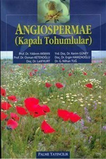 Palme Angiospermae Kapalı Tohumlar