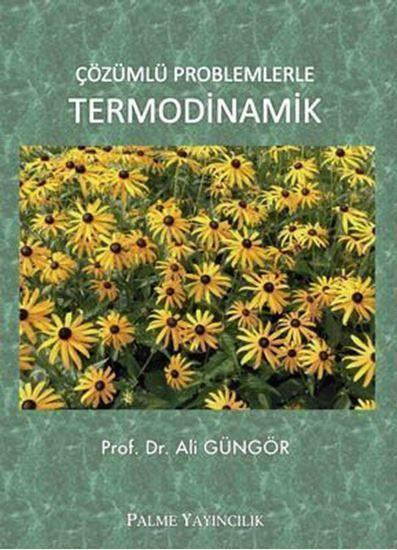 Palme Çözümlü Problemlerle Termodinamik