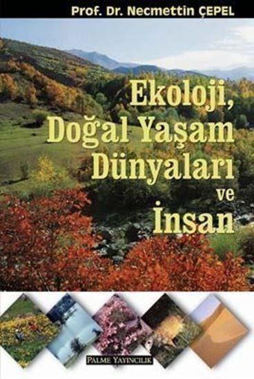 Palme Ekoloji Doğal Yaşam Dünyaları ve İnsan
