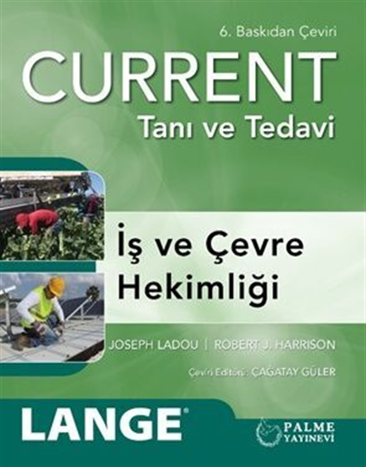 Palme Yayınları Current Tanı ve Tedavi