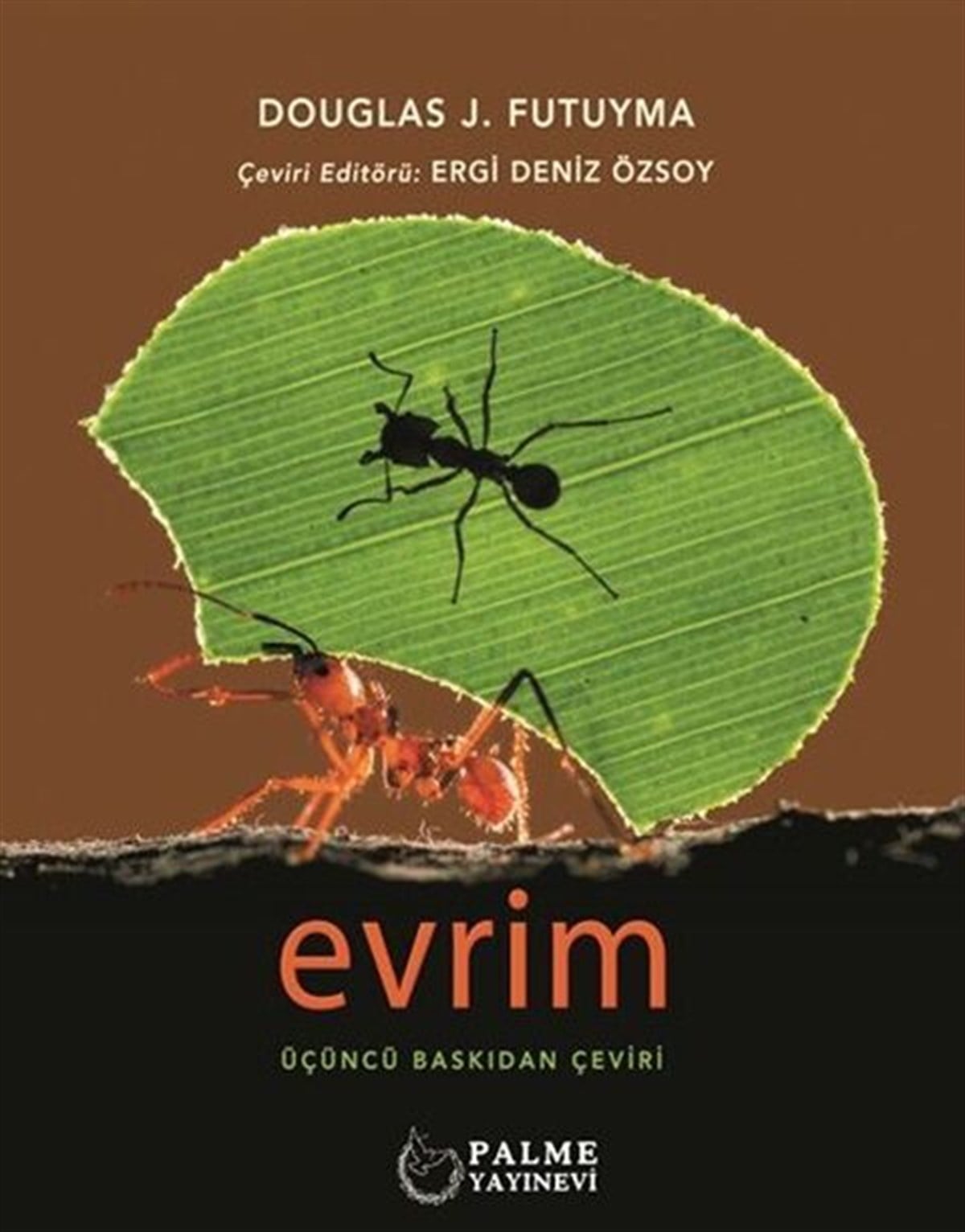 Palme Yayınları Evrim