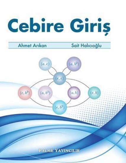 Palme Cebire Giriş