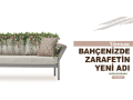 vicenza