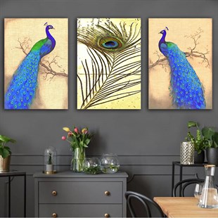 Kanvas Tablo 3 lü Set Tavus Kuşlu 73 Soyut Kanvas Tablo Setleri | Modern Çerçeveli Tablo Modelleri 3 lü Kanvas Tablo KARAHAN ÇERÇEVE ve KANVAS TABLO