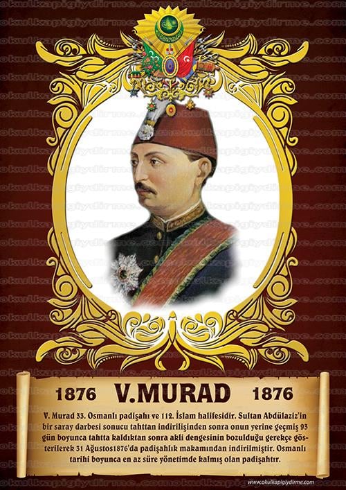 5. Murad P OP 33