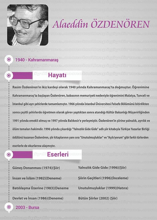Alaaddin Ozdenoren P SY 01