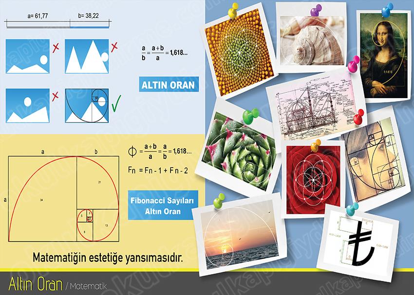 Altın Oran P MAT 03