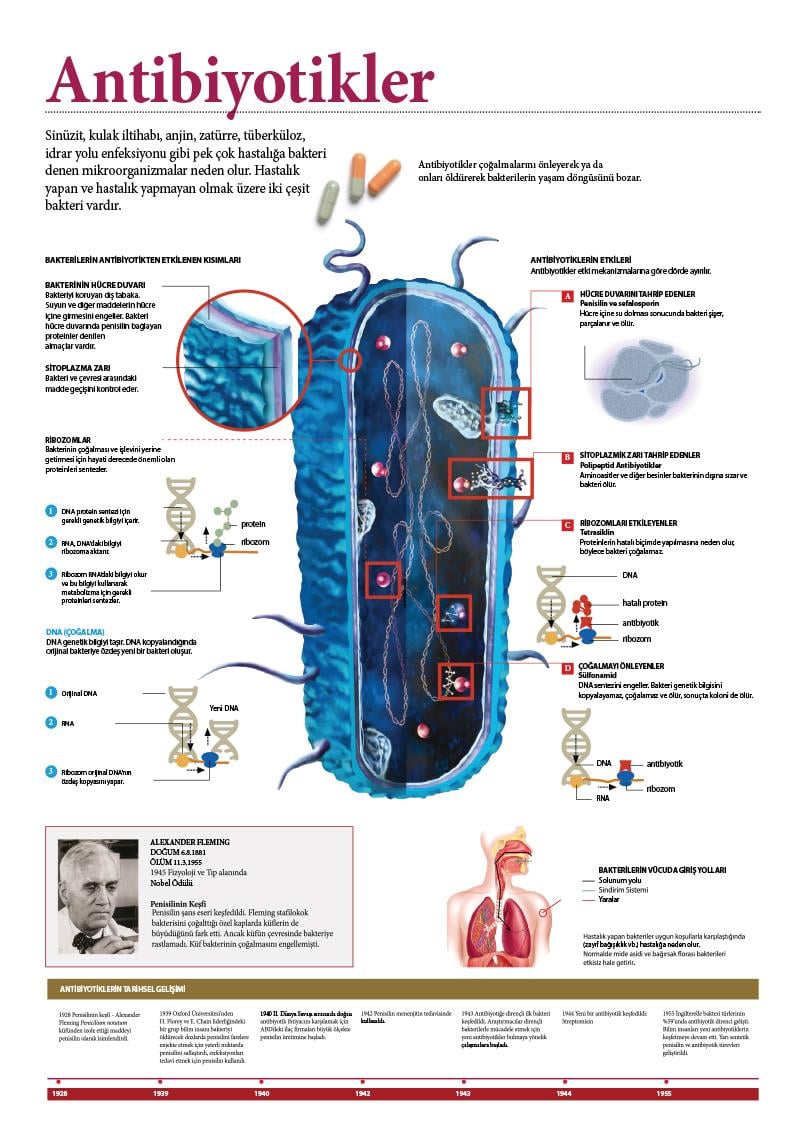 Antibiyotikler P BİY 05