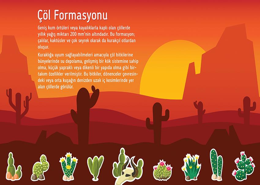 Dünya'da Bitkiler (Çöl Formasyonu) P COG 24