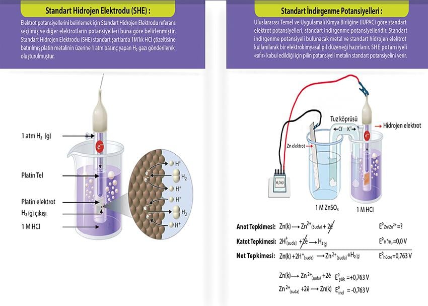 Elektrot Potansiyelleri P KİM 04